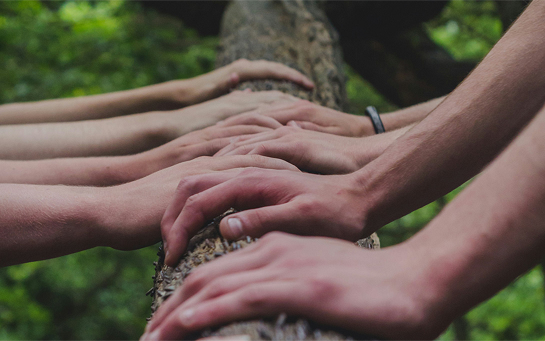 multiple hands leaning against the branch of a tree